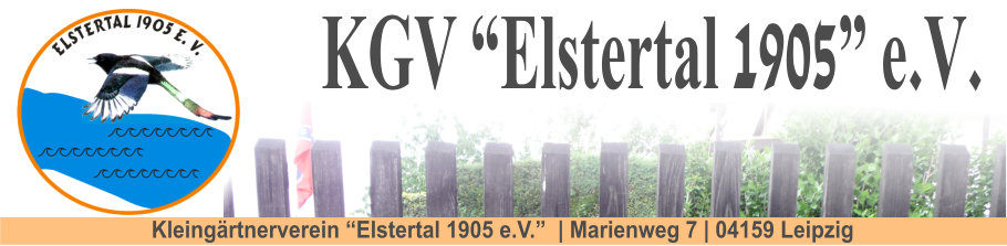 Web-Banner